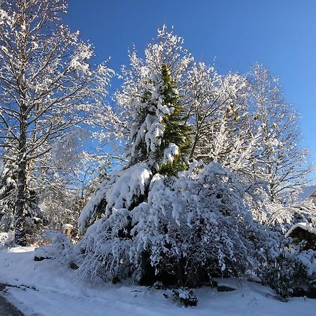 Hotel Waldblick Schwarzwalddorf Kniebis Exterior foto